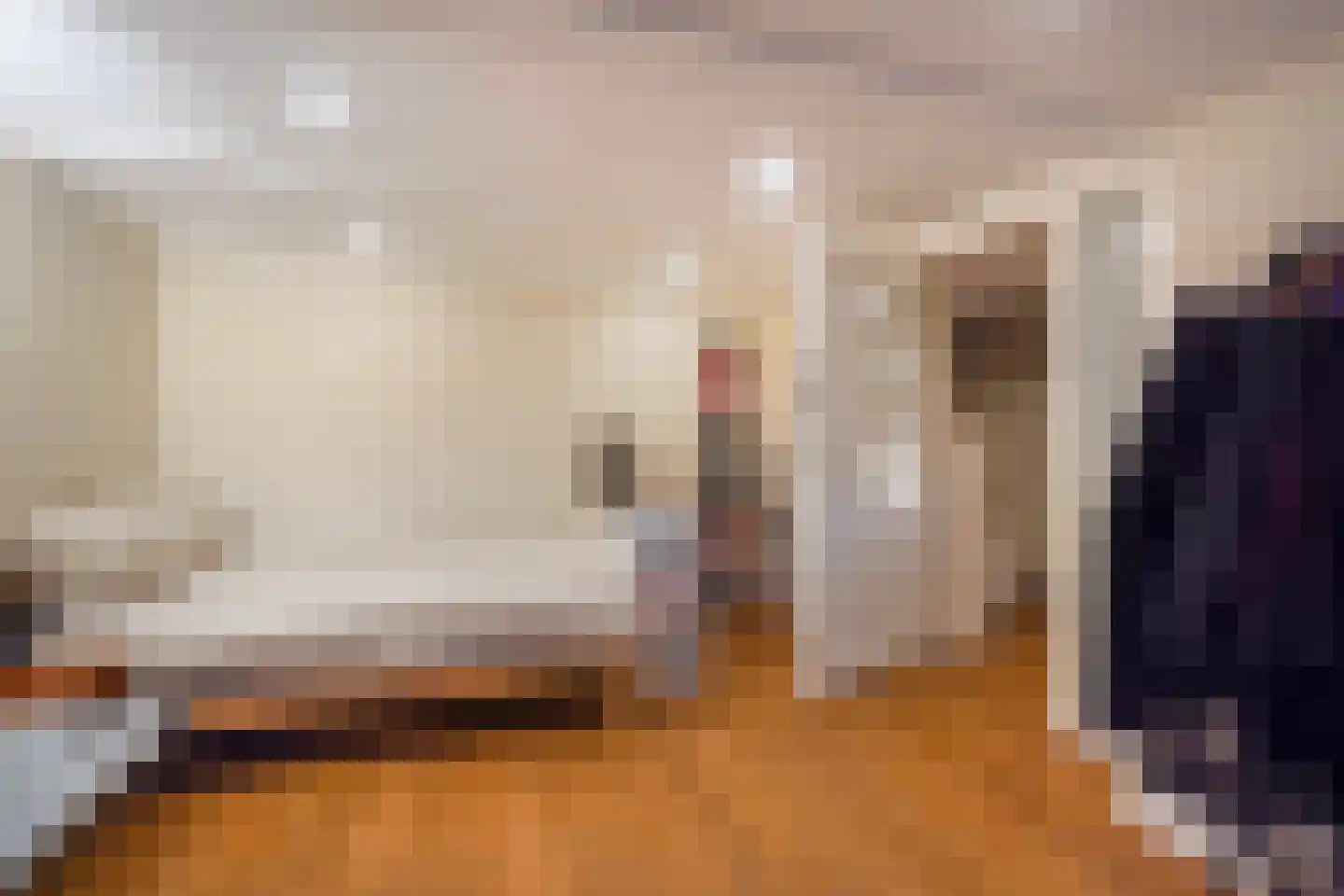 Thomsonlaan 107 Den Haag thumbnail 45