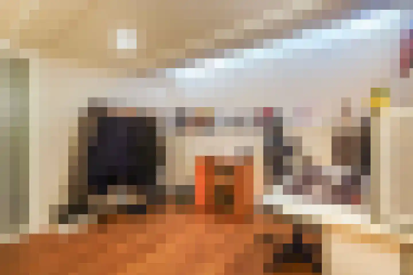 Thomsonlaan 107 Den Haag thumbnail 47