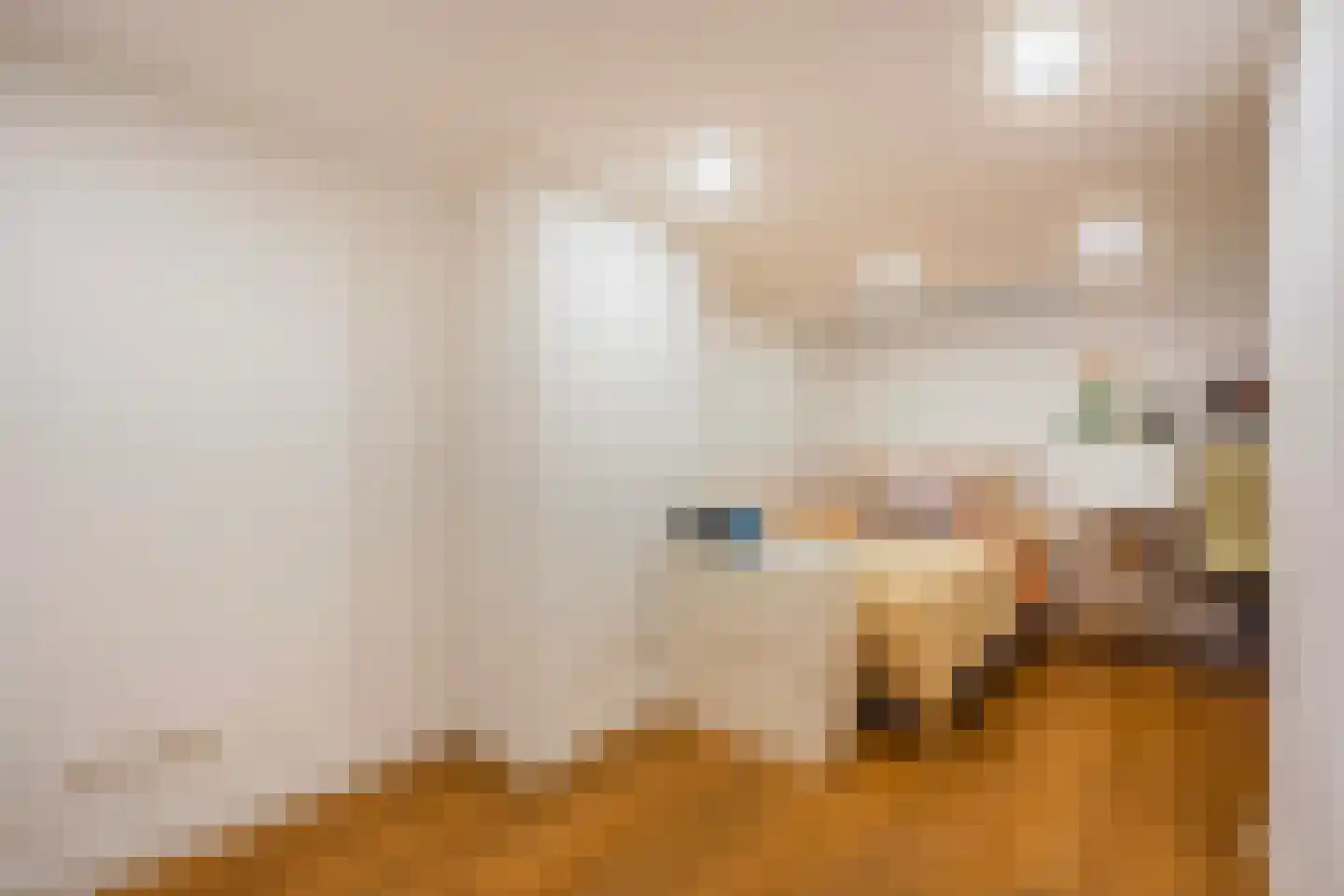 Thomsonlaan 107 Den Haag thumbnail 53