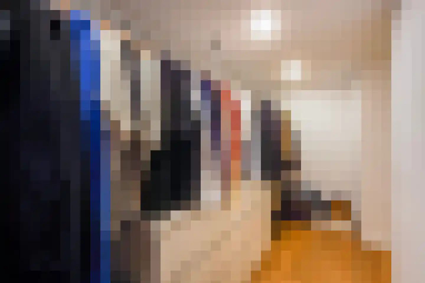 Thomsonlaan 107 Den Haag thumbnail 56