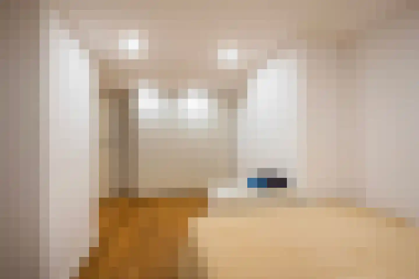 Thomsonlaan 107 Den Haag thumbnail 57