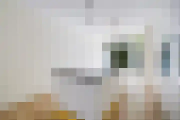 Thomsonlaan 130 Den Haag thumbnail 11