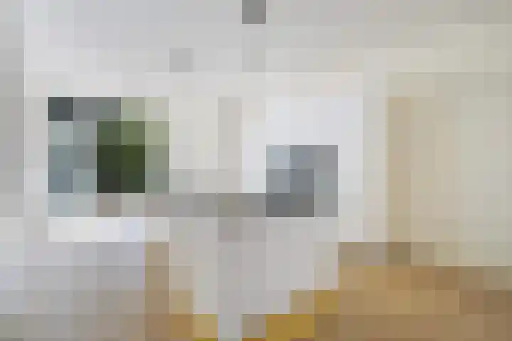 Thomsonlaan 130 Den Haag thumbnail 12
