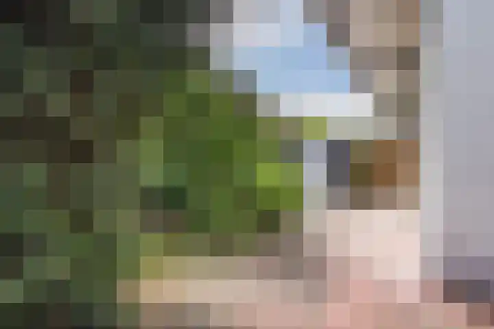 Thomsonlaan 130 Den Haag thumbnail 13