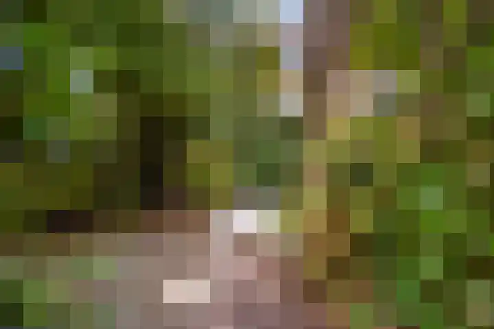 Thomsonlaan 130 Den Haag thumbnail 15