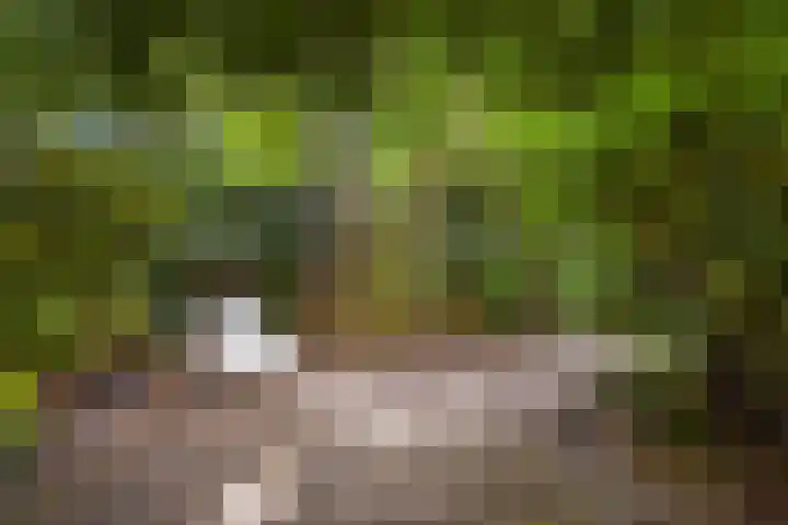 Thomsonlaan 130 Den Haag thumbnail 16