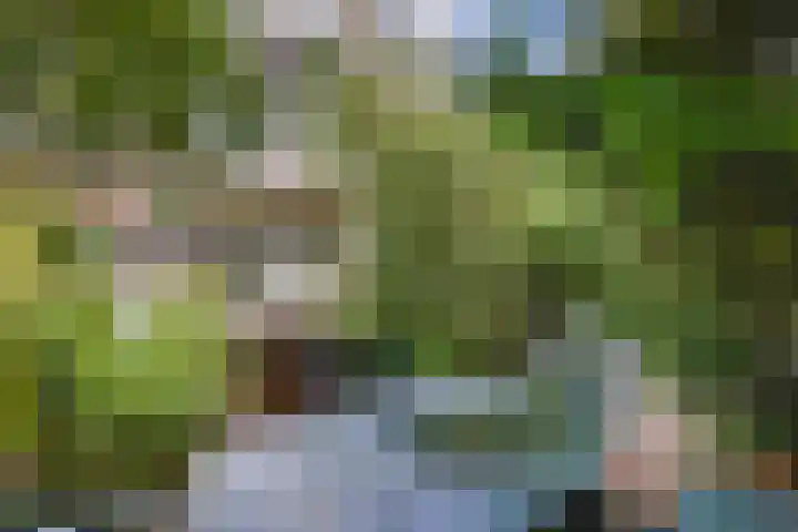 Thomsonlaan 130 Den Haag thumbnail 17
