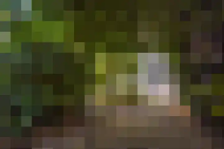 Thomsonlaan 130 Den Haag thumbnail 19