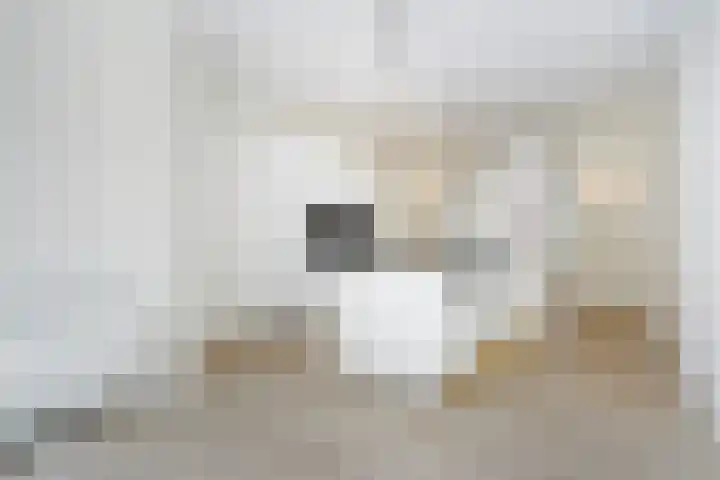 Thomsonlaan 130 Den Haag thumbnail 22
