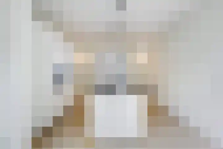 Thomsonlaan 130 Den Haag thumbnail 23