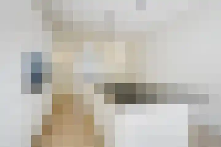 Thomsonlaan 130 Den Haag thumbnail 24