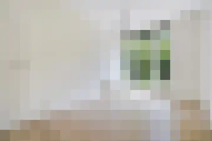 Thomsonlaan 130 Den Haag thumbnail 32