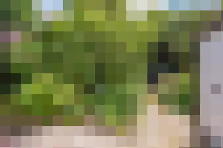 Thomsonlaan 130 Den Haag thumbnail 33
