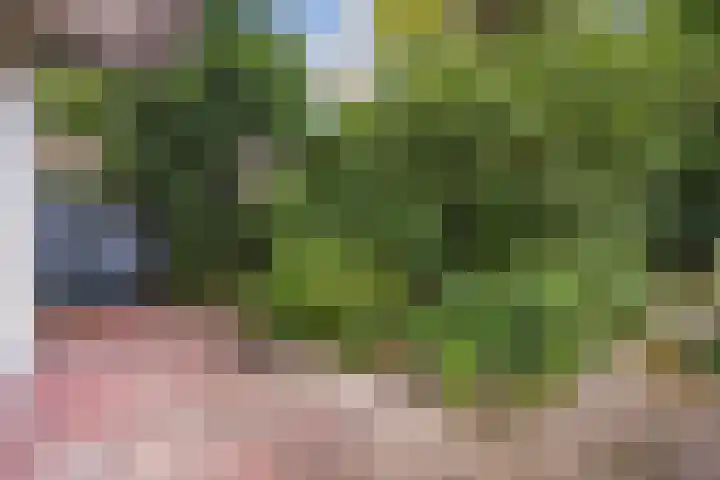 Thomsonlaan 130 Den Haag thumbnail 36
