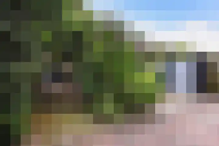 Thomsonlaan 130 Den Haag thumbnail 4