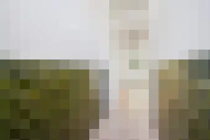 Thomsonlaan 130 Den Haag thumbnail 6