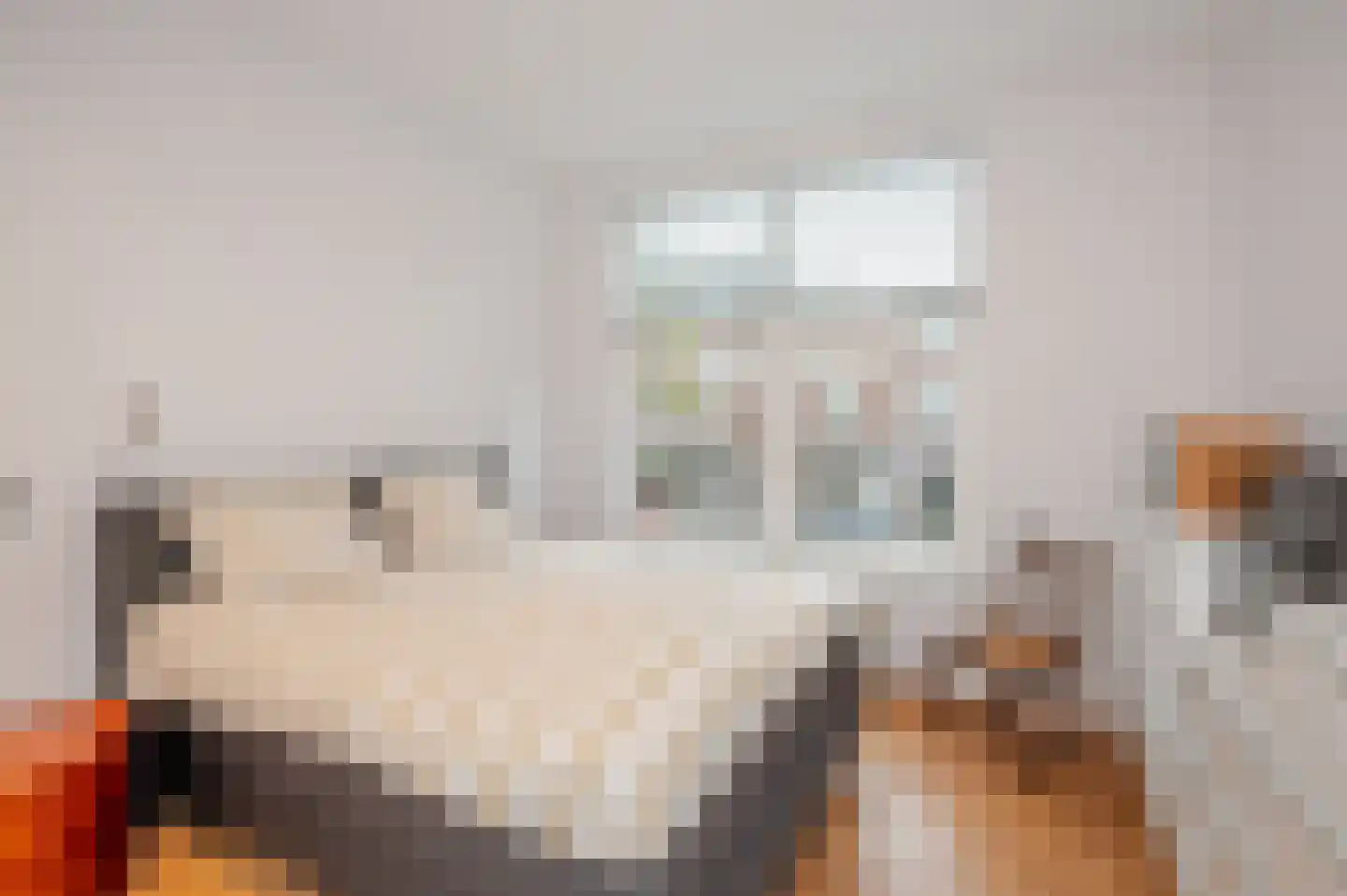 Thomsonlaan 132 Den Haag thumbnail 23
