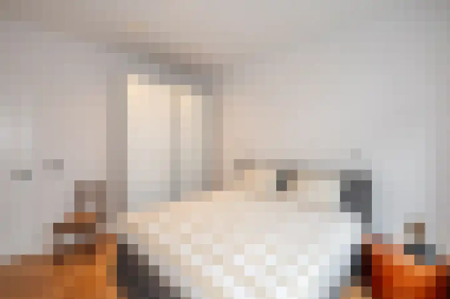 Thomsonlaan 132 Den Haag thumbnail 25
