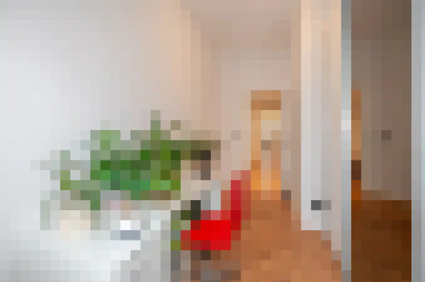 Thomsonlaan 132 Den Haag thumbnail 27