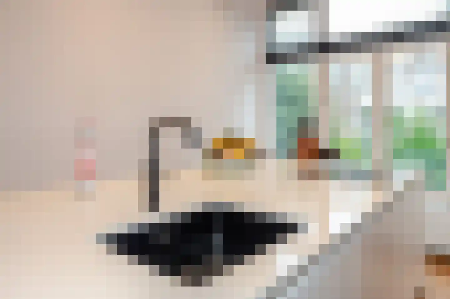 Thomsonlaan 132 Den Haag thumbnail 37