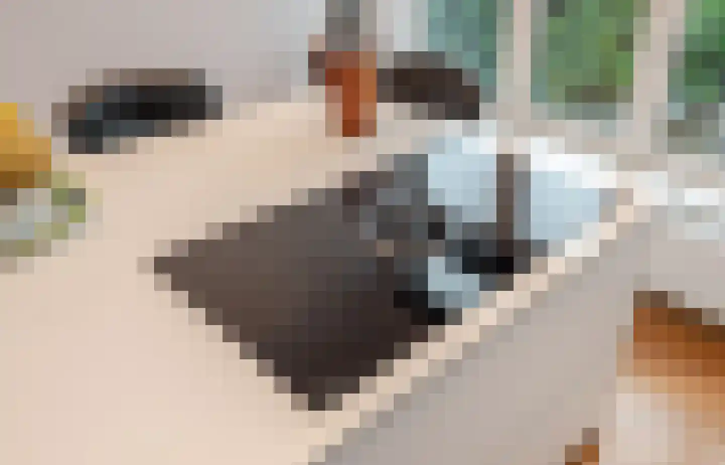 Thomsonlaan 132 Den Haag thumbnail 39