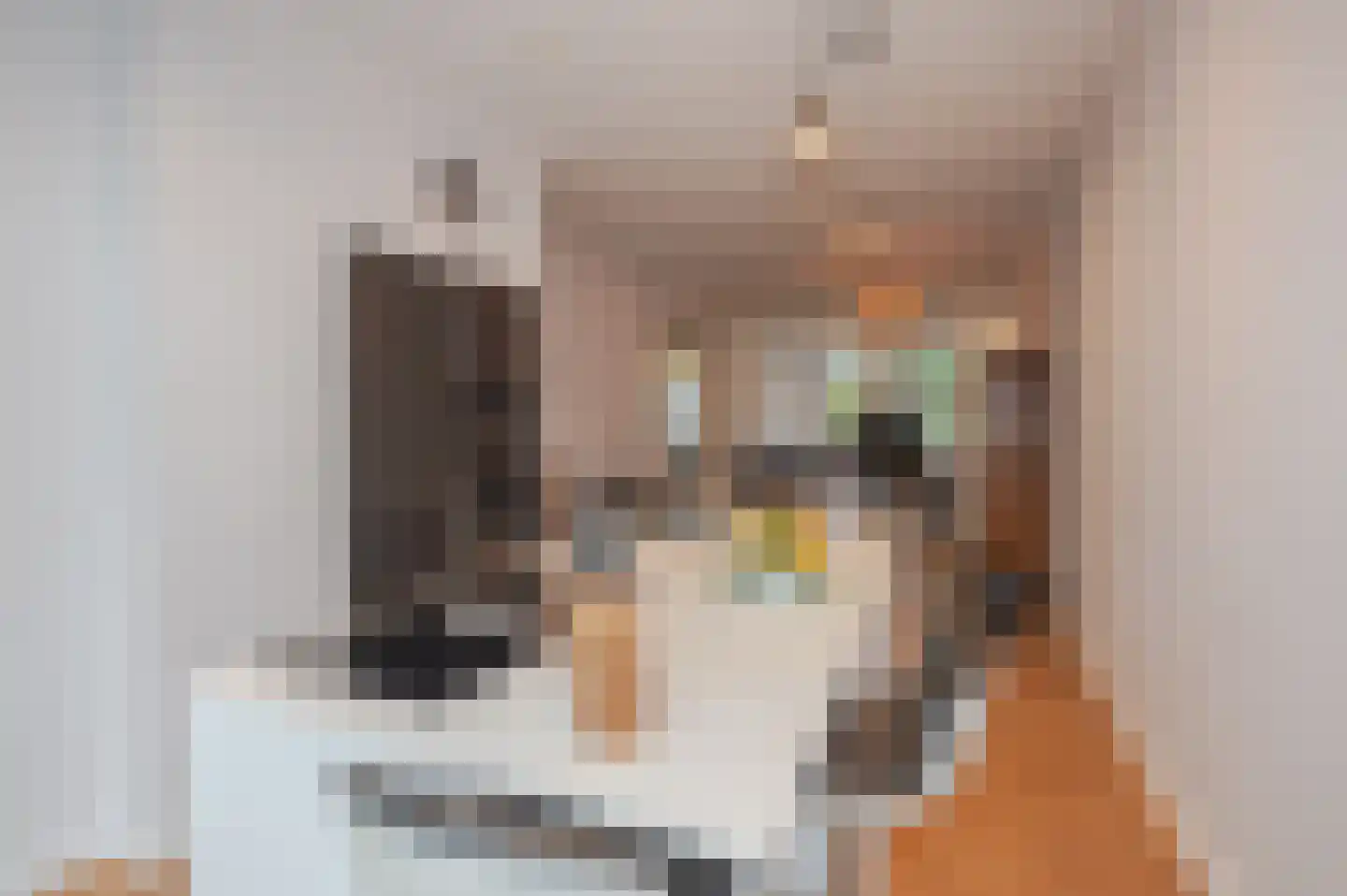 Thomsonlaan 132 Den Haag thumbnail 42