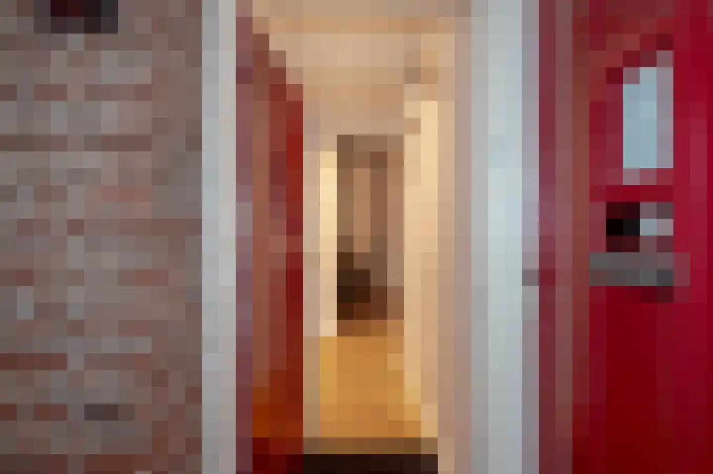 Thomsonlaan 132 Den Haag thumbnail 9