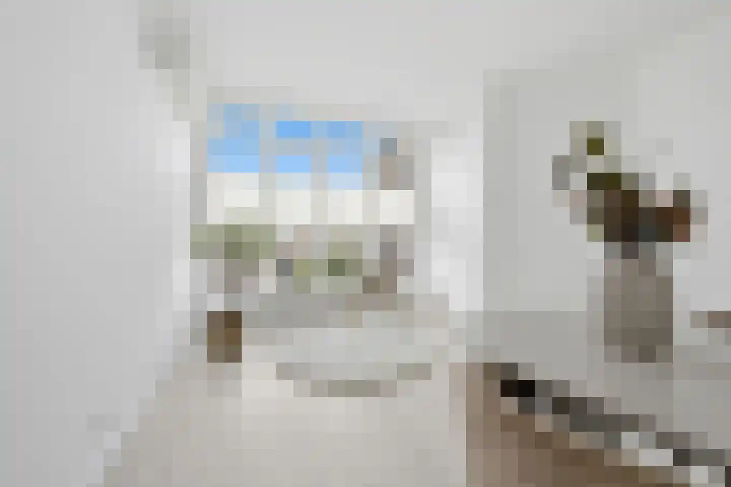 Thomsonlaan 133 Den Haag thumbnail 19