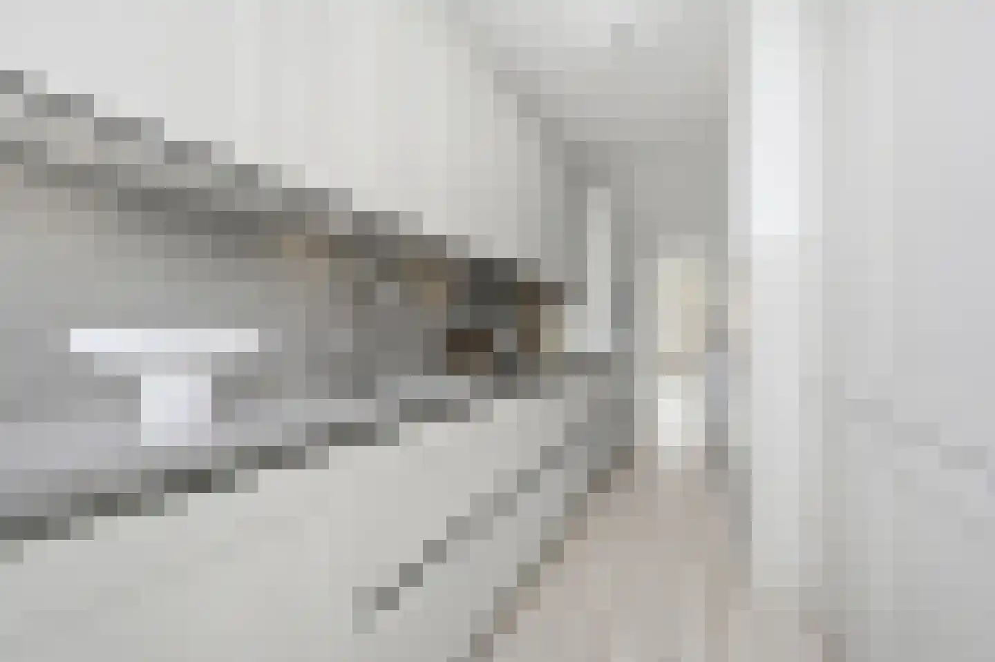 Thomsonlaan 133 Den Haag thumbnail 21