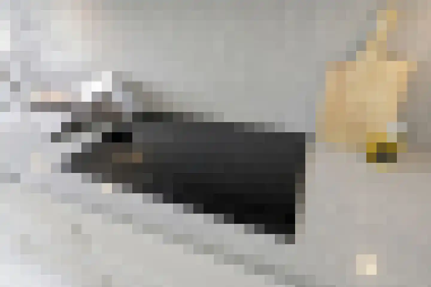 Thomsonlaan 133 Den Haag thumbnail 22