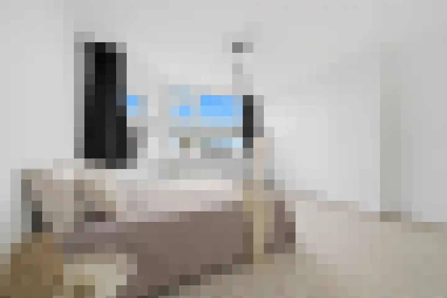 Thomsonlaan 133 Den Haag thumbnail 43