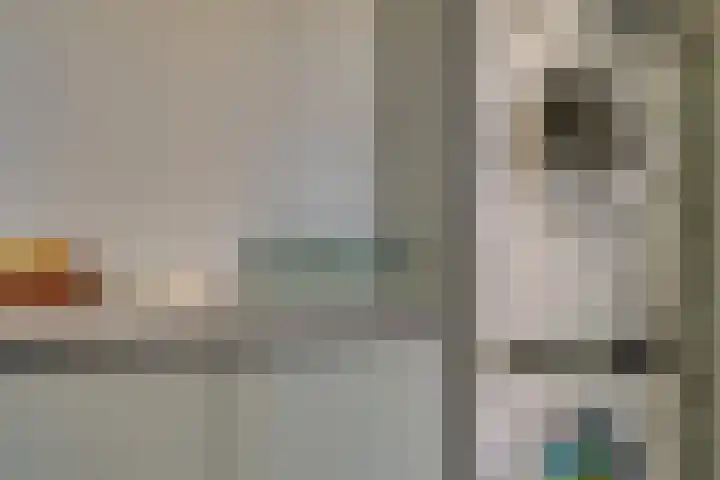 Thomsonlaan 15 Den Haag thumbnail 10