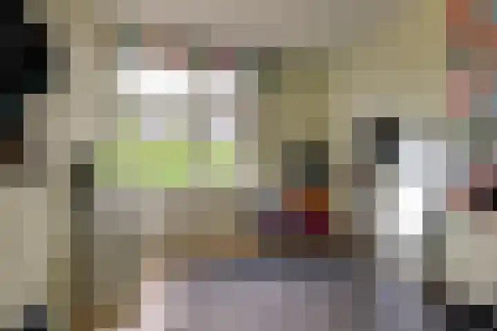 Thomsonlaan 15 Den Haag thumbnail 11
