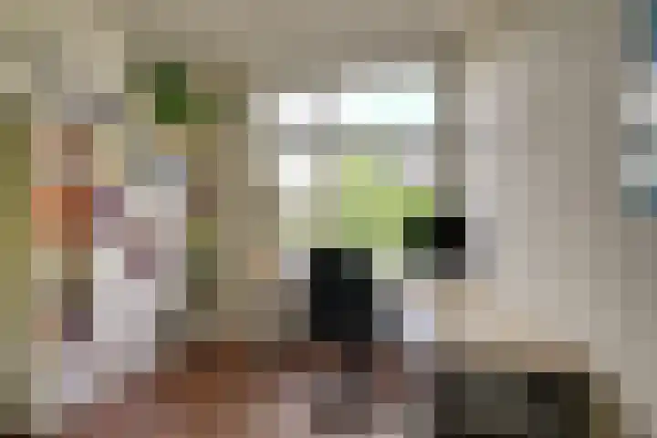 Thomsonlaan 15 Den Haag thumbnail 13
