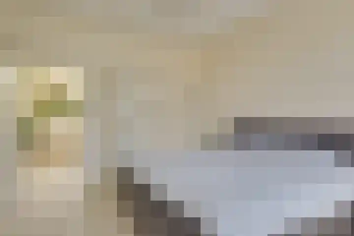 Thomsonlaan 15 Den Haag thumbnail 14