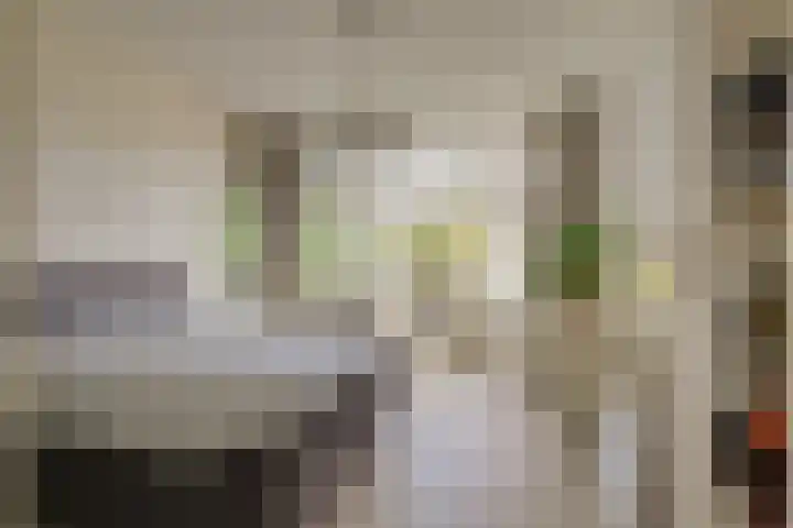 Thomsonlaan 15 Den Haag thumbnail 15