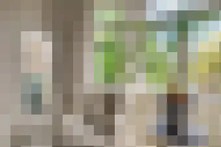 Thomsonlaan 15 Den Haag thumbnail 16