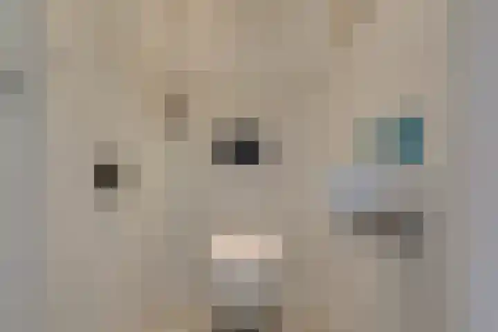 Thomsonlaan 15 Den Haag thumbnail 17