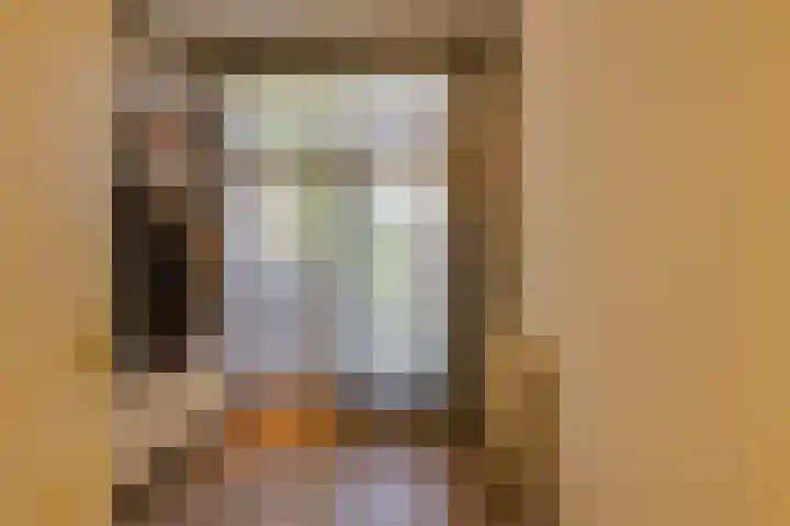 Thomsonlaan 15 Den Haag thumbnail 19