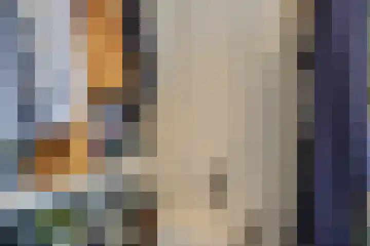 Thomsonlaan 15 Den Haag thumbnail 20