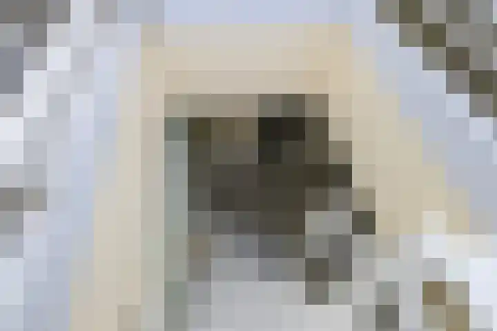 Thomsonlaan 15 Den Haag thumbnail 22