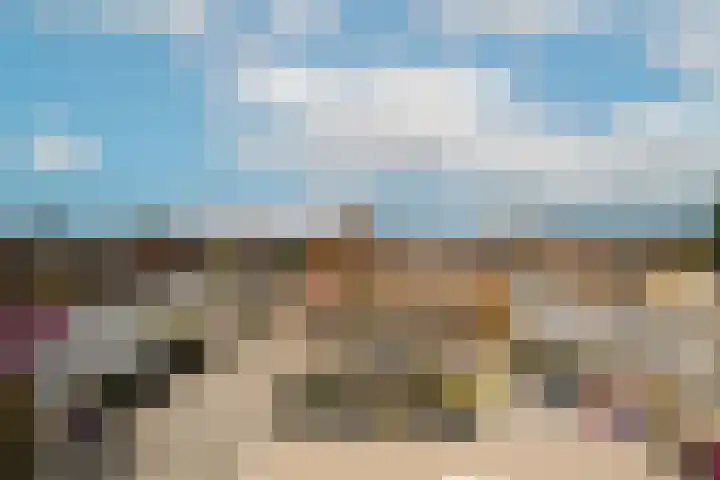Thomsonlaan 15 Den Haag thumbnail 23