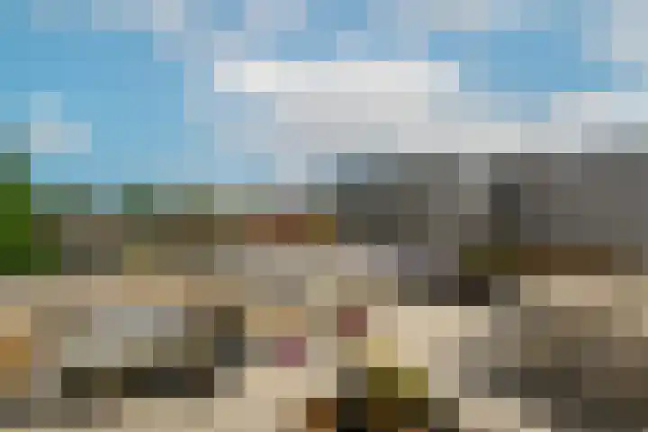 Thomsonlaan 15 Den Haag thumbnail 24