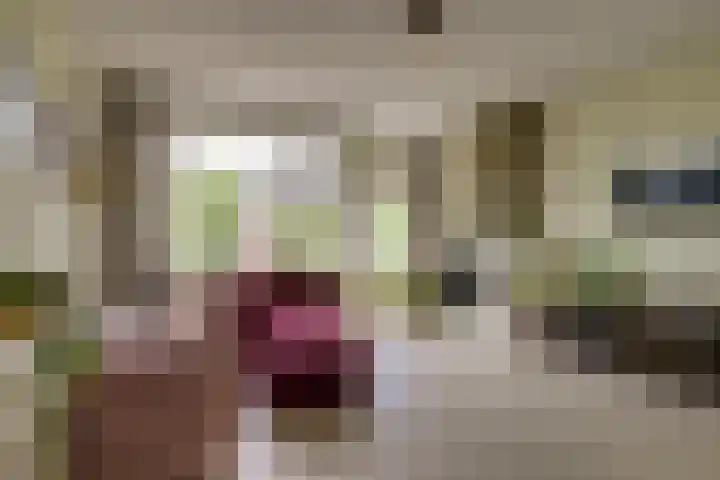 Thomsonlaan 15 Den Haag thumbnail 6