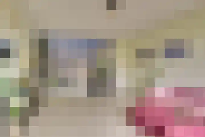 Thomsonlaan 15 Den Haag thumbnail 7