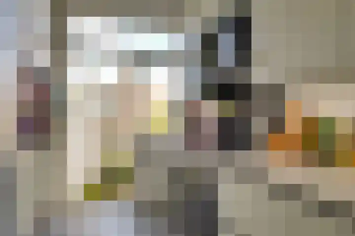 Thomsonlaan 15 Den Haag thumbnail 8