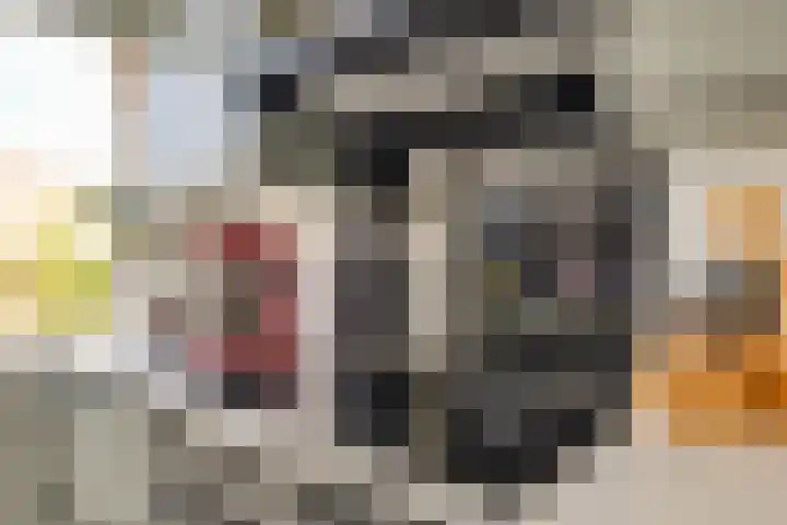 Thomsonlaan 15 Den Haag thumbnail 9