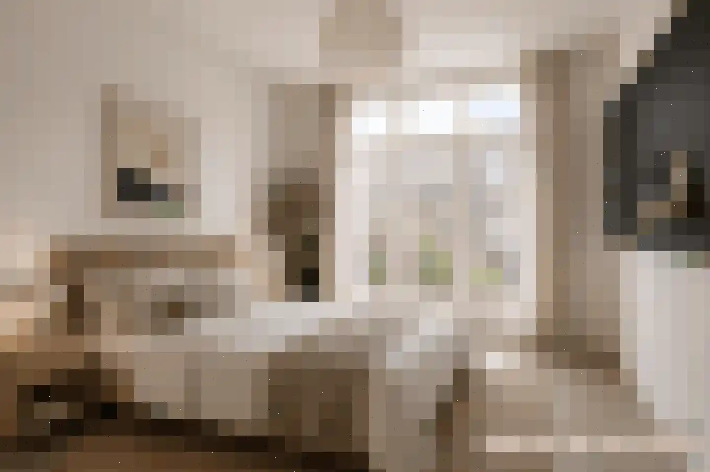 Thomsonlaan 162 Den Haag thumbnail 19