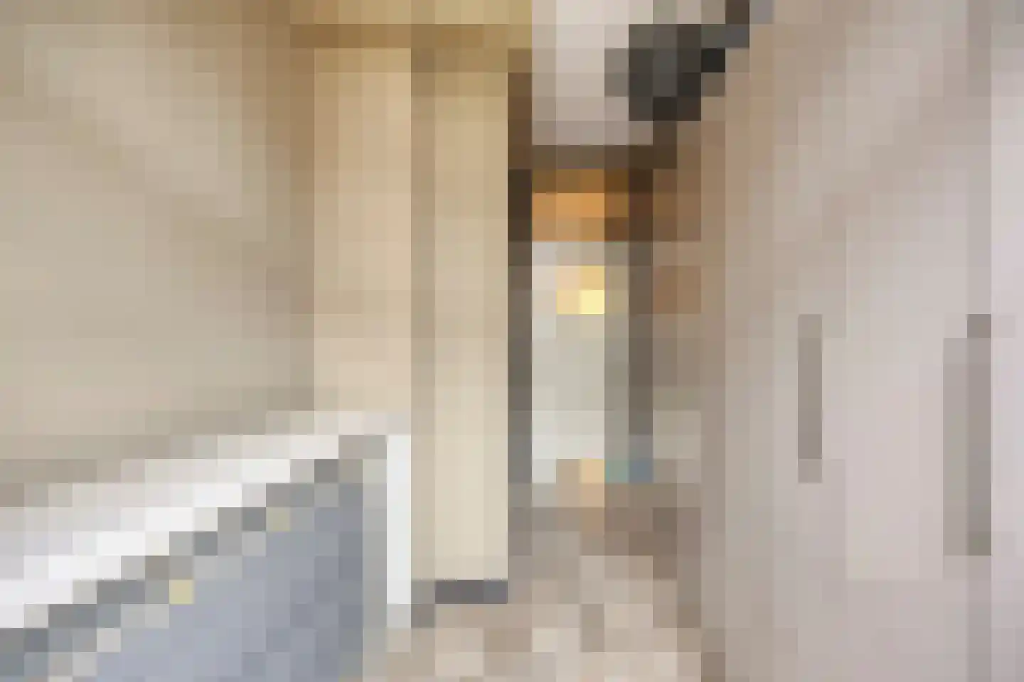 Thomsonlaan 165 Den Haag thumbnail 19