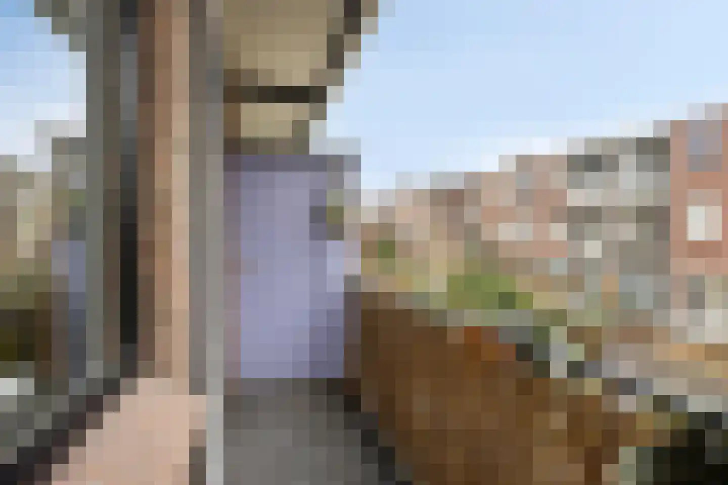 Thomsonlaan 165 Den Haag thumbnail 26